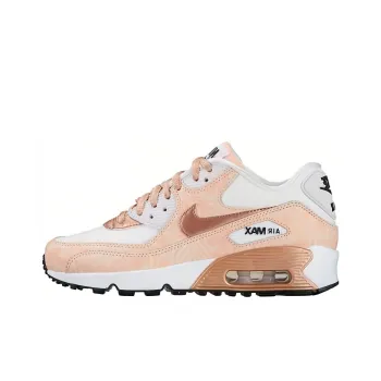 Nike Air Max 90 Print White Bronze GS