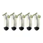 5 Pack (5 Sizes)