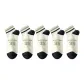 5 Pack (1 Size)