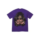 Purple/Purple