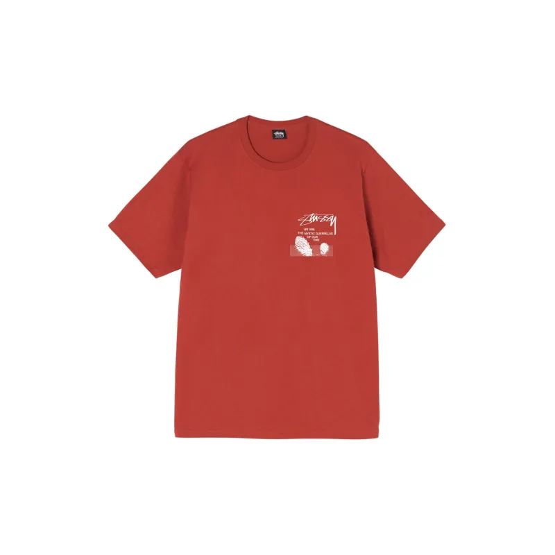 Stussy Desert Sky Tee-5