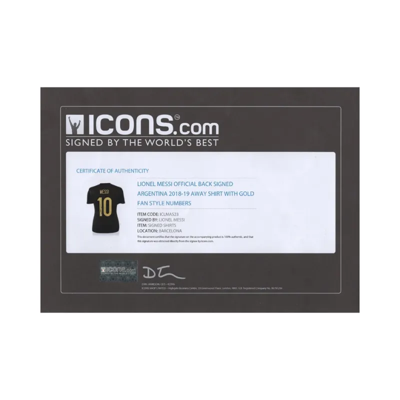 Yi Shot Argentina National Team Football Fan Supply The Outer Frame Size Is About 65X85cm-1