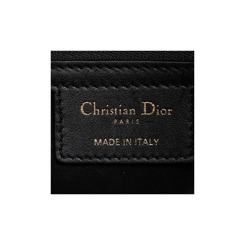 DIOR Saddle Leather Saddle Bags One Shoulder Handbags Women's Black & Green-5
