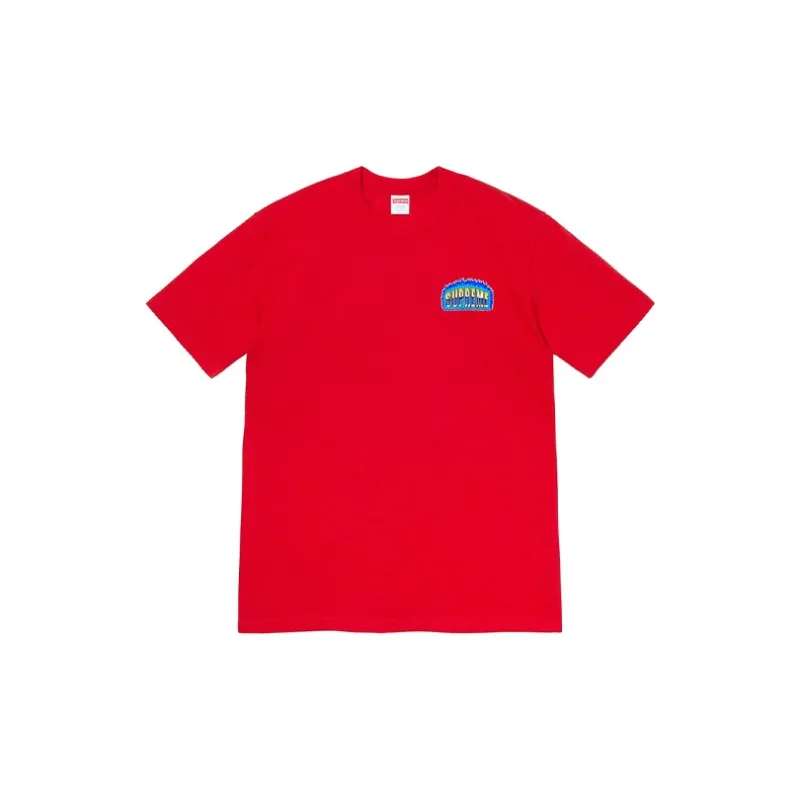 Supreme Chrome Tee-11