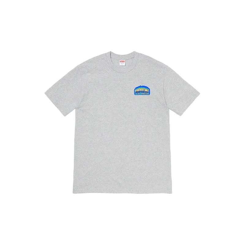 Supreme Chrome Tee-5