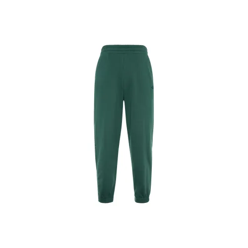 Adidas Originals Knitted Sweatpants Women's Mineral Green