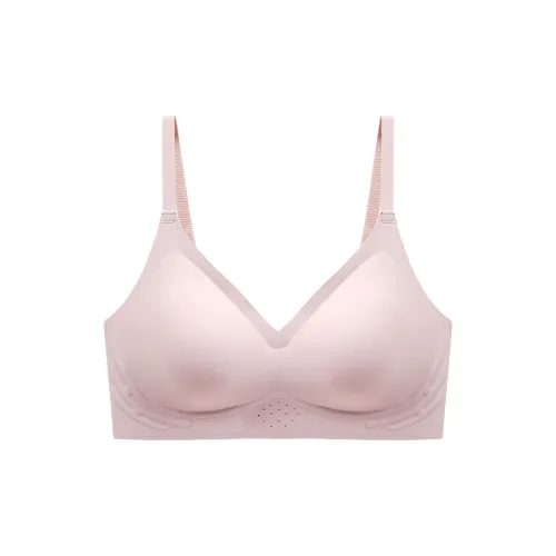 Lanza Women's Bras