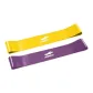 2 Pack Beginner Hip and Thigh Set[Yellow 10 Lbs+Taro Purple 20 Lbs]