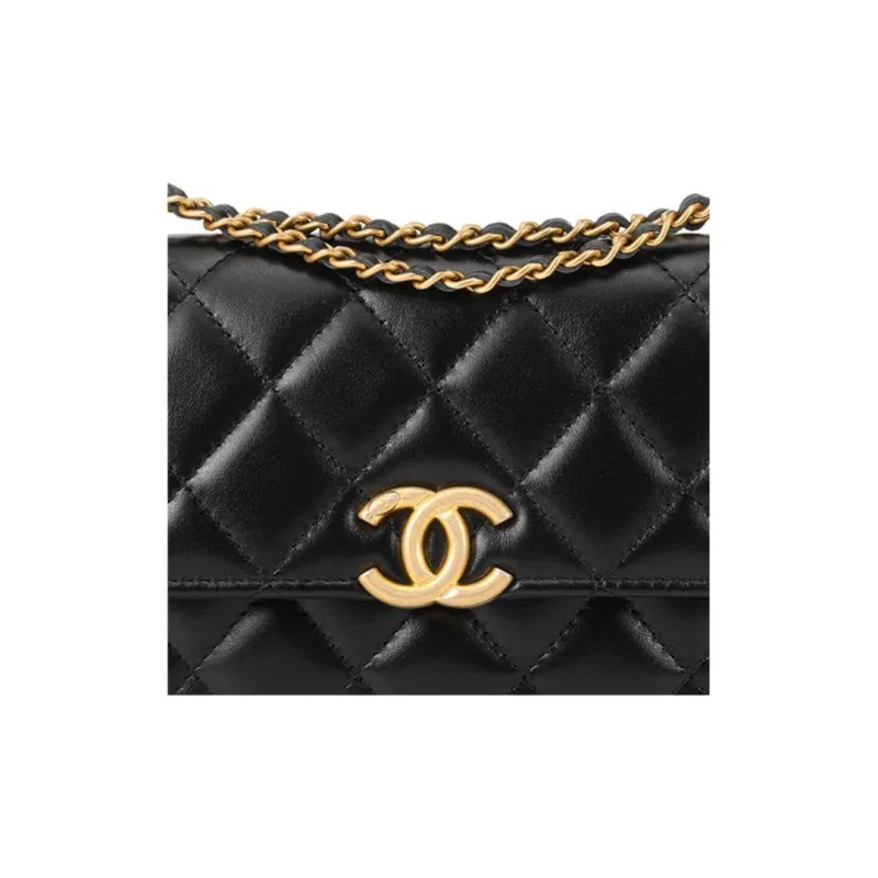 CHANEL WOC Calfskin Wallet On Chain, Coin Purse, Crossbody Bag, Shoulder Bag Women's Black-4