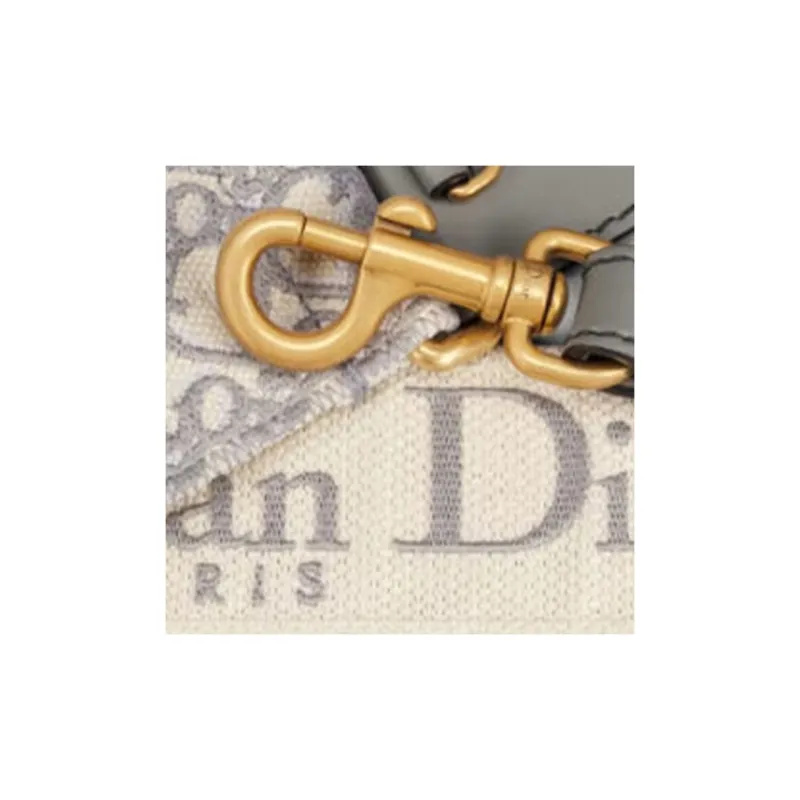DIOR Calfskin With Embroidery Bag Straps Women's Multicolor/Gray-2