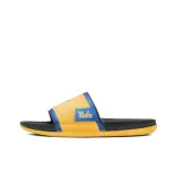 Gold/Dark Smoke Grey/Signal Blue