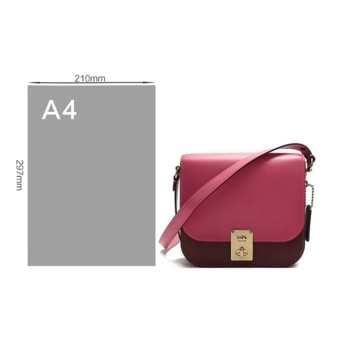 COACH Hutton Leather Saddle Bag Crossbody Shoulder Bag Women's Pink Purple Mix-6