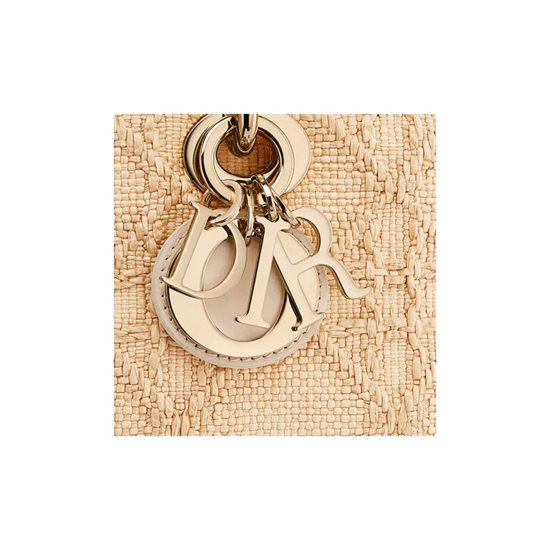 DIOR Lady D Joy Handbags-5