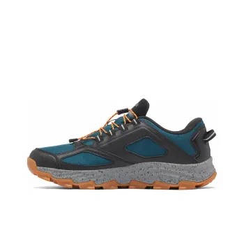 Columbia FLOW MORRISON Slip-Resistant Water-Resistant Low-Top Trekking Shoes Men's Black Blue