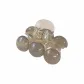 Transparent Gray Small Claw Clip