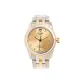 Champagne Watch Dial