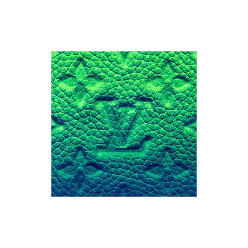 LOUIS VUITTON Pocket Organizer Taurillon Illusion Blue/Green-4