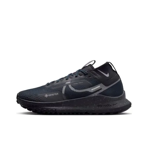 Nike Pegasus Trail 4 Gore-Tex Dark Obsidian Metallic Silver Women's