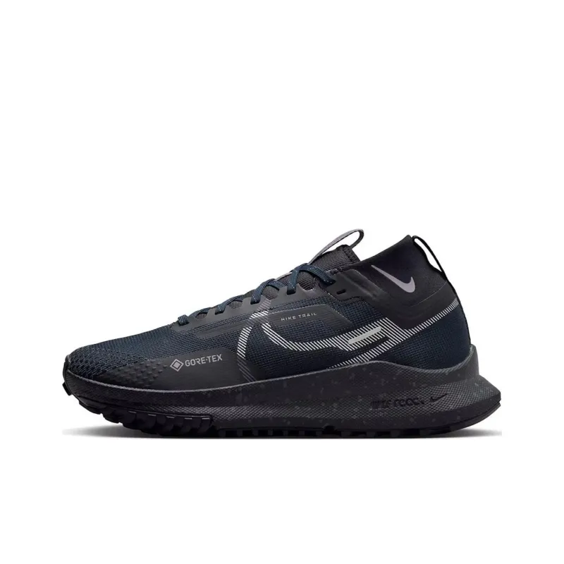 Nike Pegasus Trail 4 Gore Tex Dark Obsidian Metallic Silver Women's-0