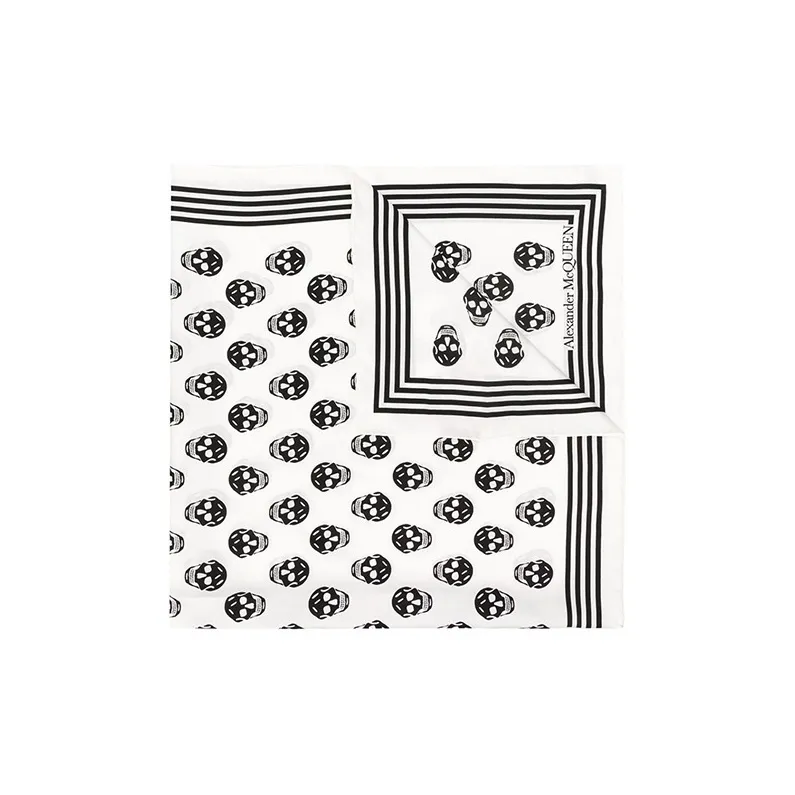 Alexander McQueen Skull Printed Scarf-1