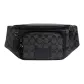 Bag+Dust Bag