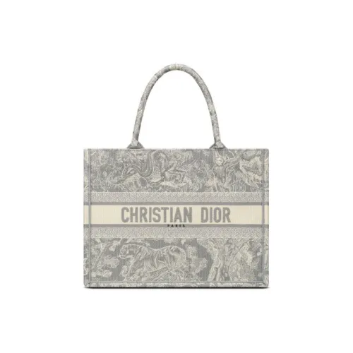 DIOR BookTote Handbags