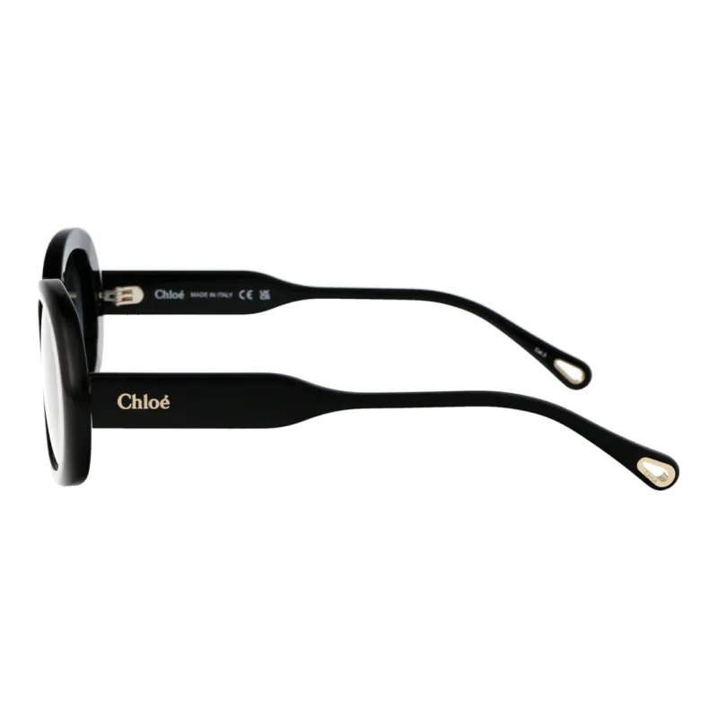 Chloe Acetate Oval Sunglasses Women's Black-2