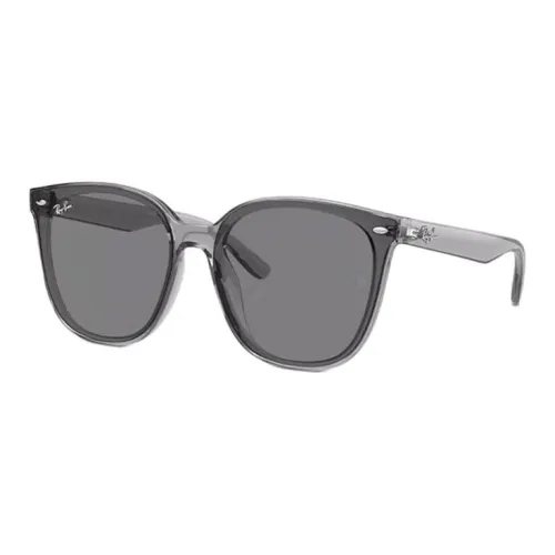 RayBan Oval Sunglasses Unisex Gray