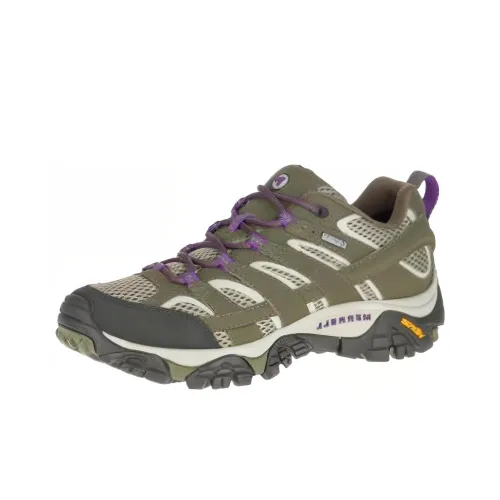 MERRELL Moab 2 GTX Shock-absorbing And Waterproof Low-Top Outdoor Shoes Women's Green Purple
