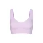 1 Pack SUGAR PLUM/Candy Plum