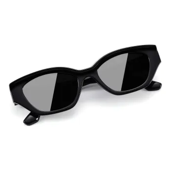 PULAIS Irregular Shape Sunglasses Unisex