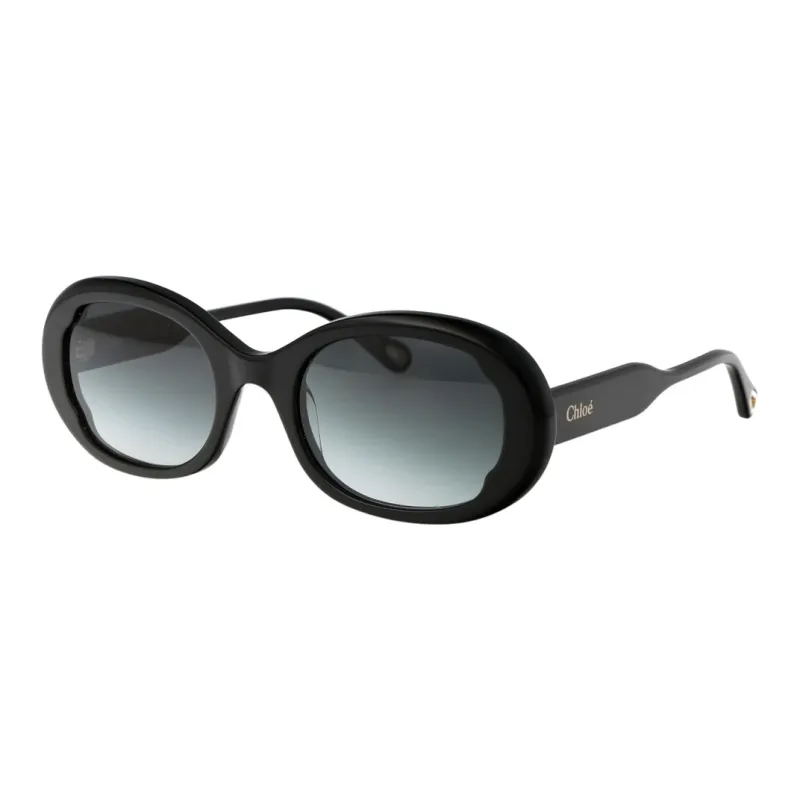 Chloe Acetate Oval Sunglasses Women's Black-0