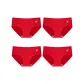 D Set: Wish Fulfillment+New Year Happiness+Abundance Every Year+Good Fortune and Prosperity