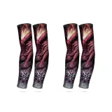Wind Dance in Nine Provinces (2 Packs)