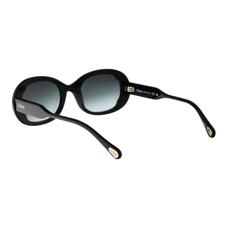 Chloe Acetate Oval Sunglasses Women's Black-3