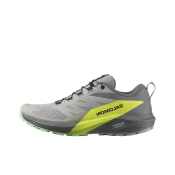 SALOMON Sense Ride 5 'Grey'
