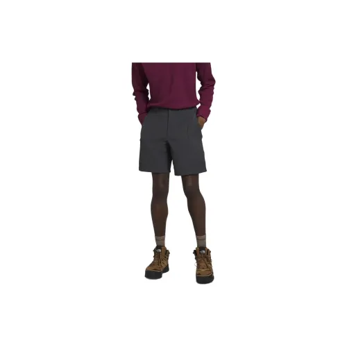 THE NORTH FACE Casual Shorts Men Asphalt Gray