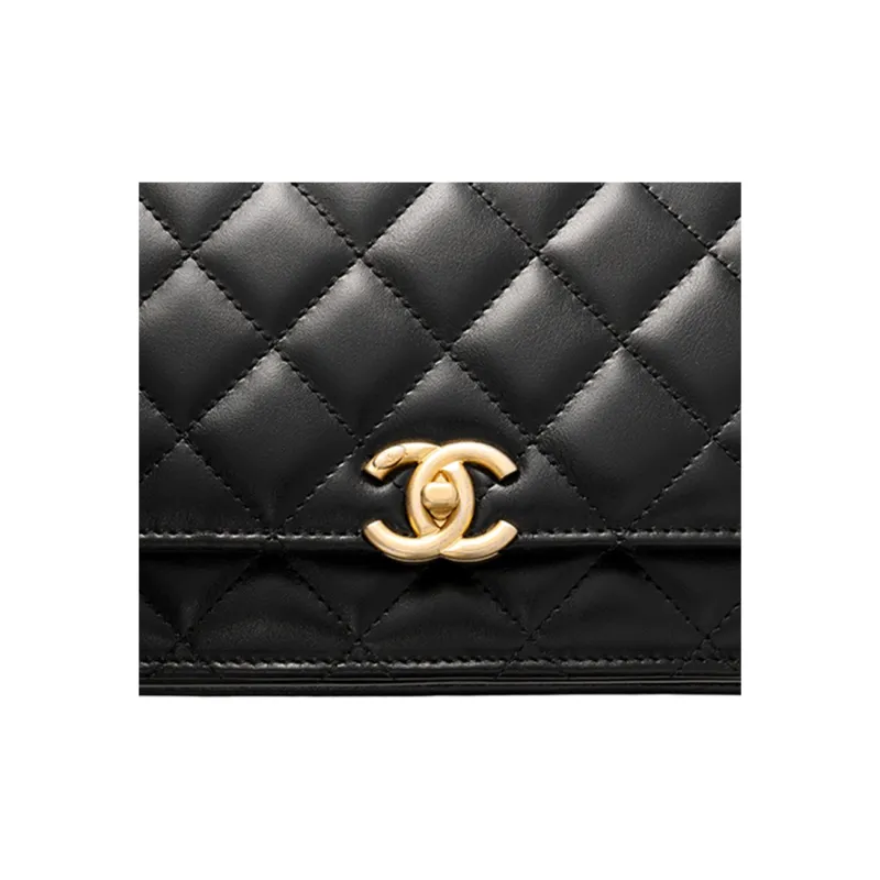 CHANEL Adjustable Strap Woc Black AP2289-5
