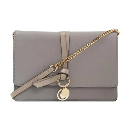 Chloé Bags Clutches