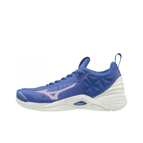 Mizuno Momentum Training Shoes Unisex Low-Top Blue