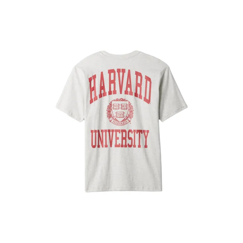 GAP T-Shirt Men's Pale Linen Grey-1
