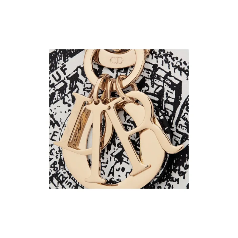 DIOR Lady D-JOY Cow Leather Embroidery Daisie Bag Shoulder Bag Crossbody Bag Handbag Medium Size Women's Black/White-6