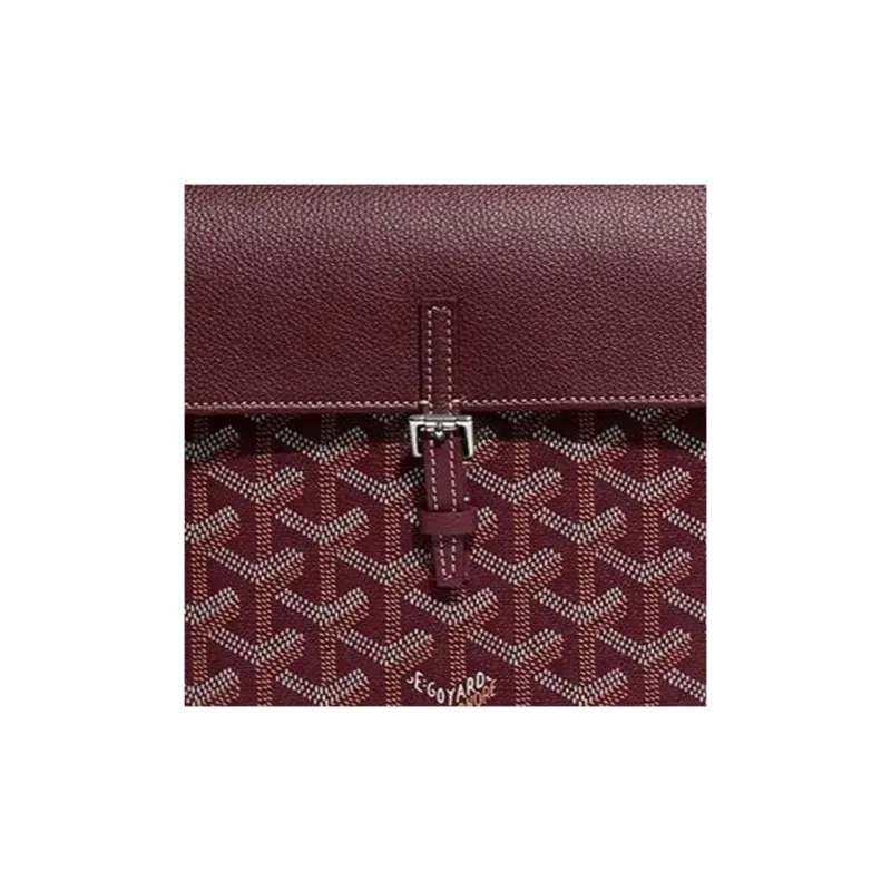 GOYARD Alpin Canvas With Leather Backpack Mini Unisex Burgundy-5
