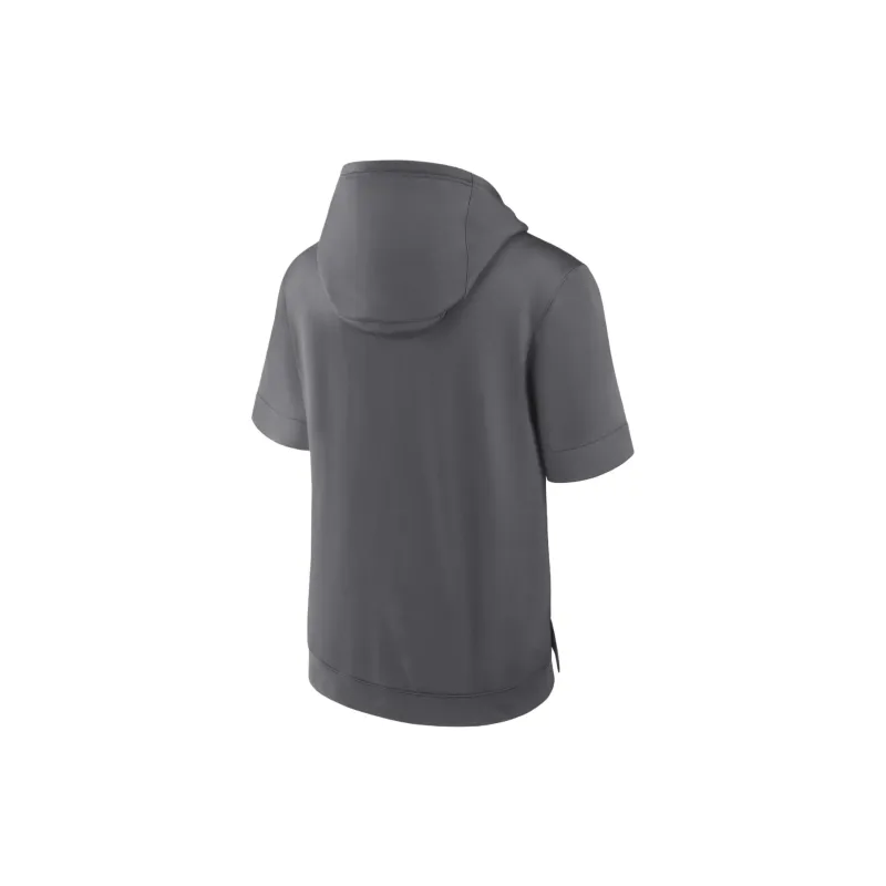 Nike MLB Collaboration Washington Nationals City Connect Sweatshirt Washington Nationals Men's Gray-1