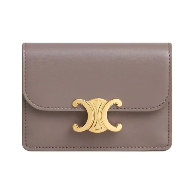 CELINE Triomphe Shiny Calfskin Patchwork Leather Card Holder Women's Eggstone Gray-0