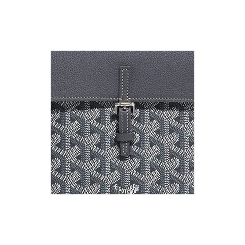 GOYARD Alpin Canvas With Leather Backpack Mini Unisex Gray-5