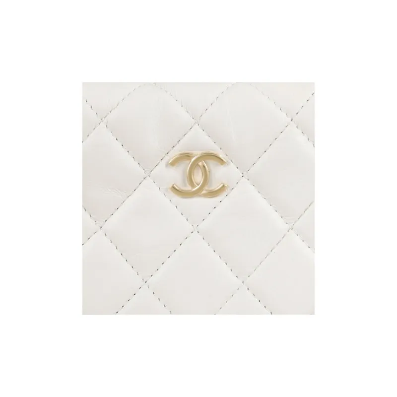 CHANEL 23C Early Spring Sheepskin Clutch Crescent Bag Handbag Mini Women's White-4