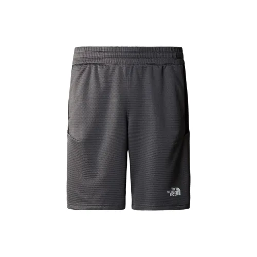 THE NORTH FACE Casual Shorts Men Anthracite Gray