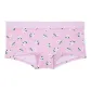 1 Pack (Violet Sugar Tossed Lilies/Pink)
