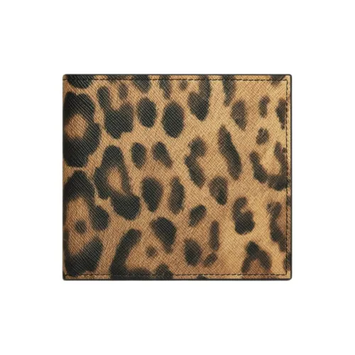 celine Taylor Canvas Wallet Men's Leopard Print